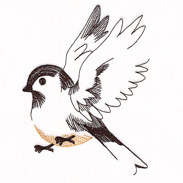 Contours of Beauty Chickadee