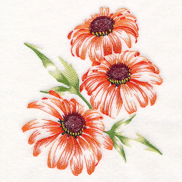Contours of Beauty Coneflowers - Image 3