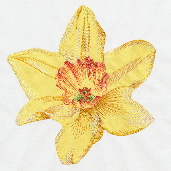 Contours of Beauty Daffodil (Applique) - Image 10