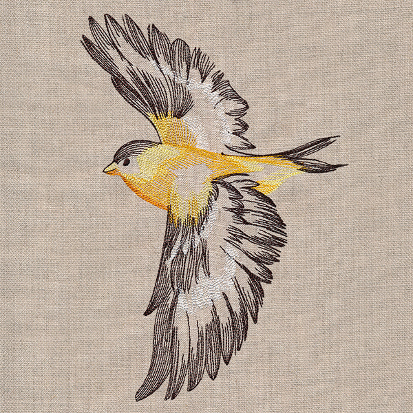 Contours of Beauty Goldfinch - Image 2