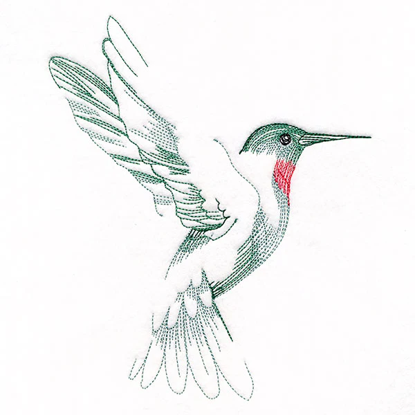 Contours of Beauty Hummingbird - Image 2