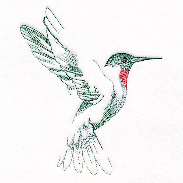 Contours of Beauty Hummingbird - Image 3