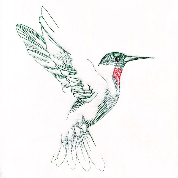 Contours of Beauty Hummingbird - Image 4