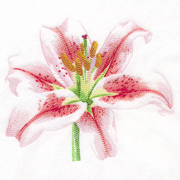 Contours of Beauty Lily - Image 3