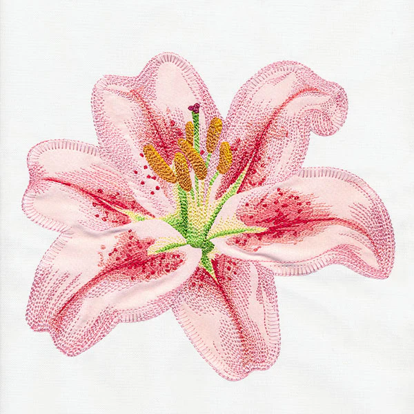 Contours of Beauty Lily (Applique) - Image 10