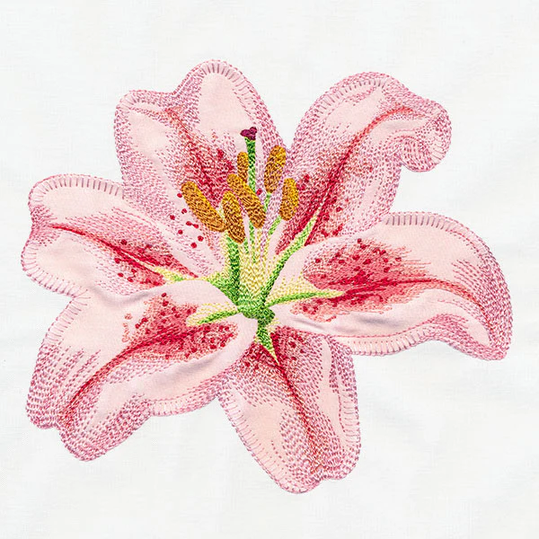 Contours of Beauty Lily (Applique) - Image 4