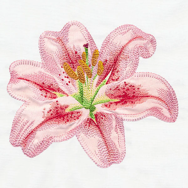 Contours of Beauty Lily (Applique) - Image 7