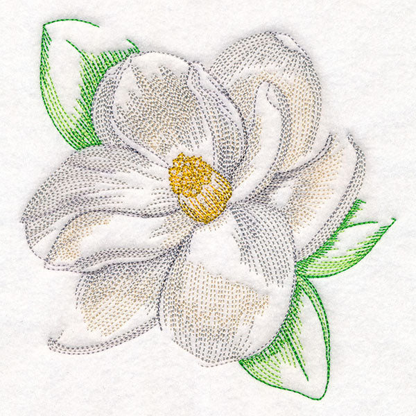 Contours of Beauty Magnolia - Image 3