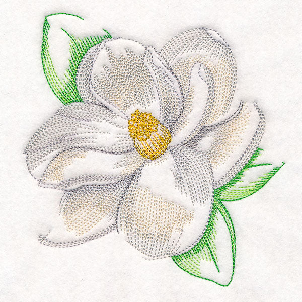 Contours of Beauty Magnolia - Image 4