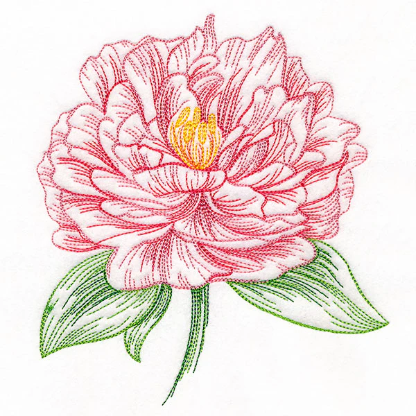 Contours of Beauty Peony - Image 2