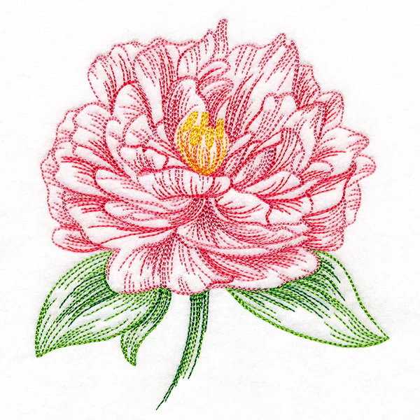 Contours of Beauty Peony - Image 3