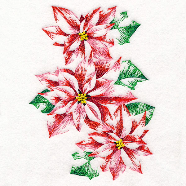 Contours of Beauty Poinsettias - Image 3