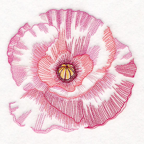 Contours of Beauty Poppy - Image 3