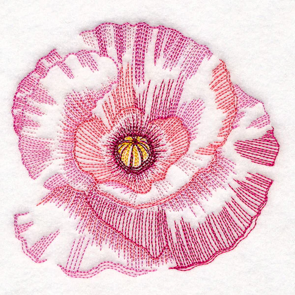 Contours of Beauty Poppy - Image 4