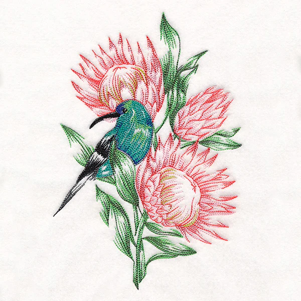 Contours of Beauty Protea and Malachite Sunbird - Image 3