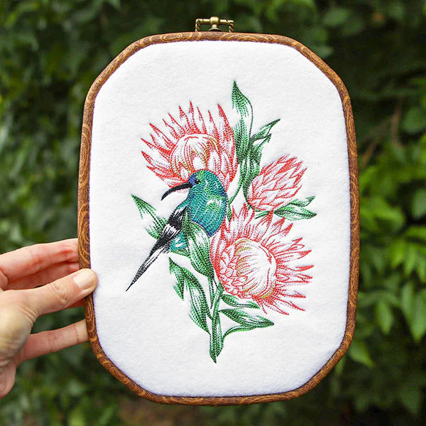 Contours of Beauty Protea and Malachite Sunbird - Image 4