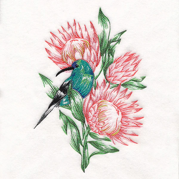Contours of Beauty Protea and Malachite Sunbird - Image 5