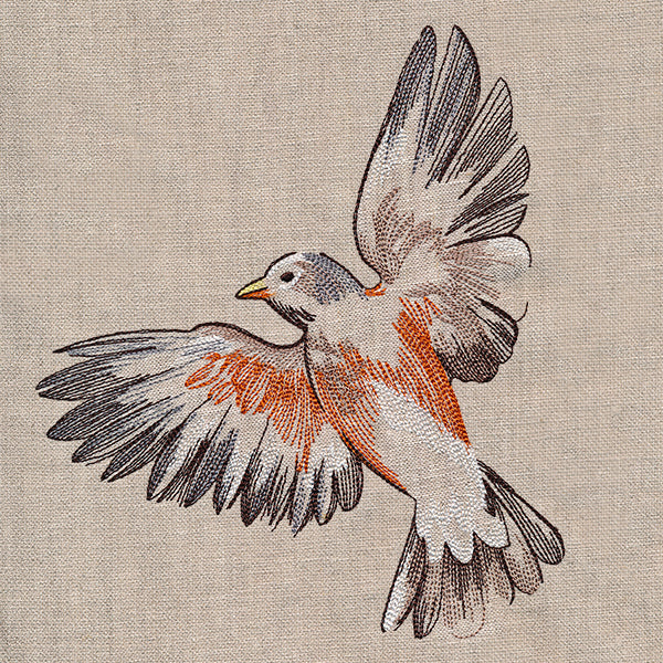 Contours of Beauty Robin - Image 13