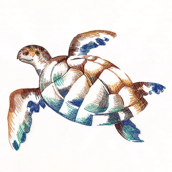 Contours of Beauty Sea Turtle - Image 4