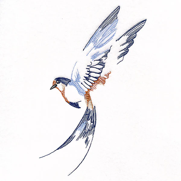 Contours of Beauty Swallow - Image 3