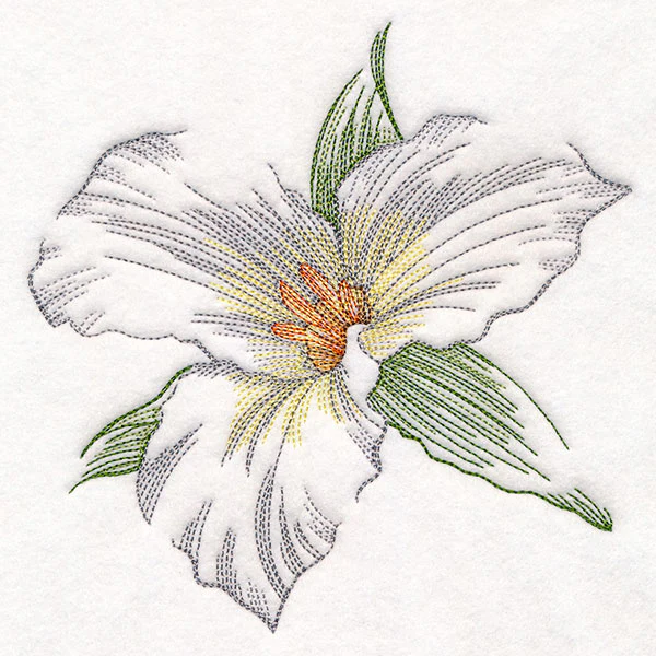 Contours of Beauty Trillium - Image 2