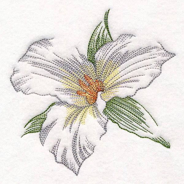 Contours of Beauty Trillium - Image 4