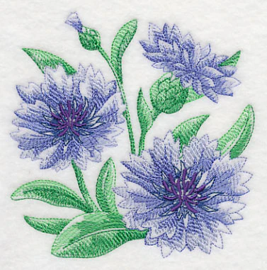 Cornflower Sketch - Image 4