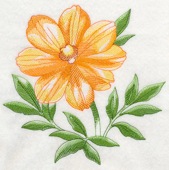 Cosmos Beauty