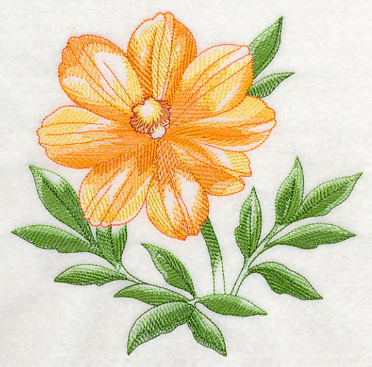 Cosmos Beauty - Image 2