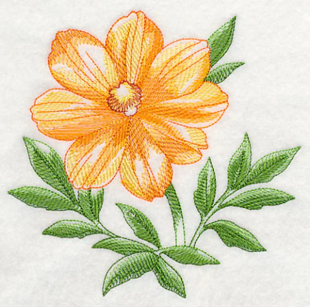 Cosmos Beauty - Image 3