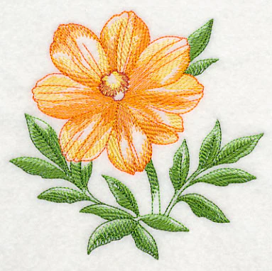 Cosmos Beauty - Image 4