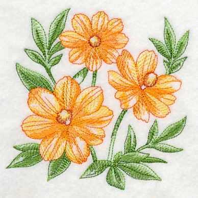 Cosmos Sketch - Image 4