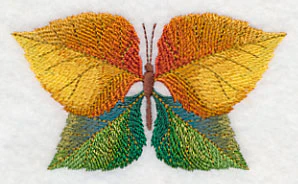 Cottonwood Leaf Butterfly - Image 5