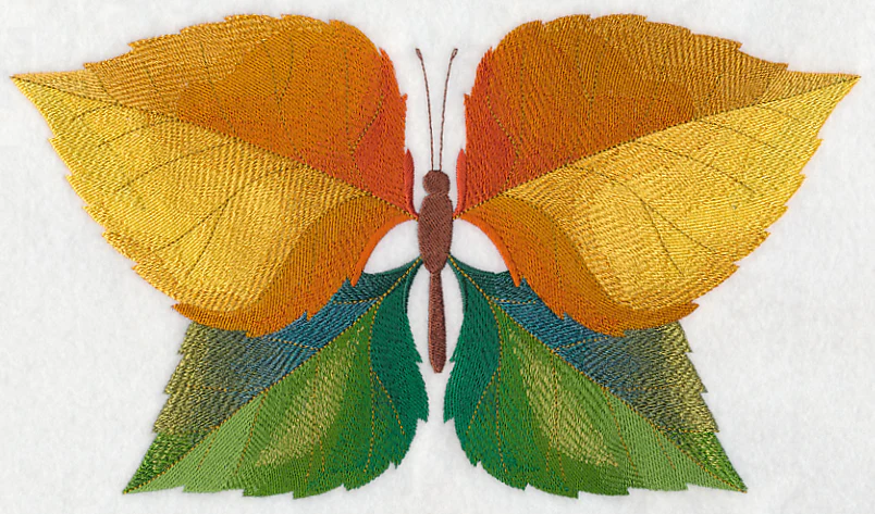 Cottonwood Leaf Butterfly - Image 6
