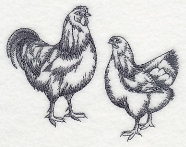 Country Chicken Pair 3 - Image 3