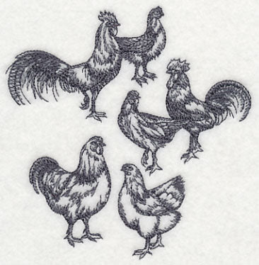 Country Chicken Sketch - Image 4