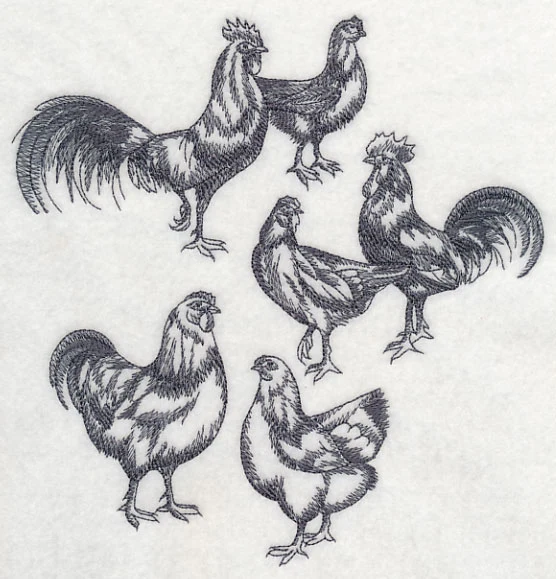 Country Chicken Sketch - Image 5