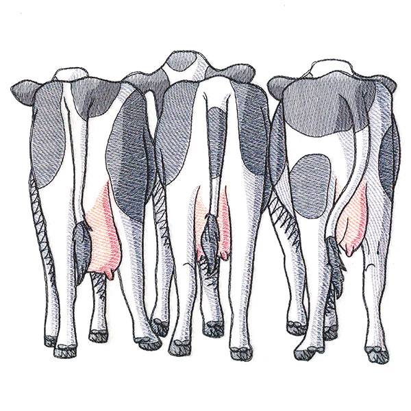 Cow Trio - Back - Image 7