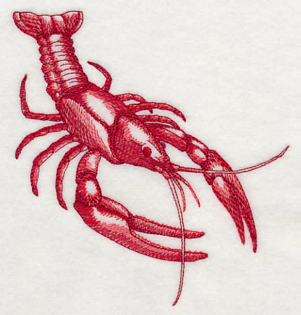 Crawfish Sketch - Image 4