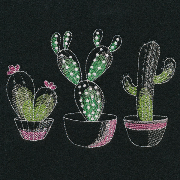 Crazy for Cacti Trio - Image 4
