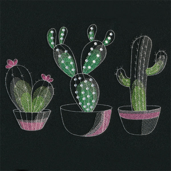 Crazy for Cacti Trio - Image 5