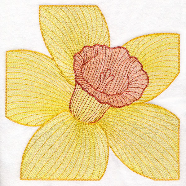 Creative Contour Macro Daffodil