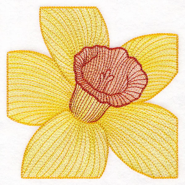 Creative Contour Macro Daffodil - Image 4