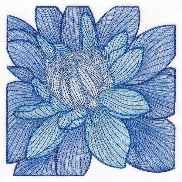 Creative Contour Macro Dahlia - Image 3