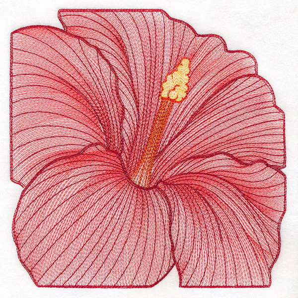 Creative Contour Macro Hibiscus - Image 2