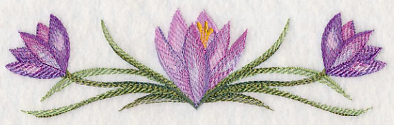Crocus Border in Watercolor - Image 3