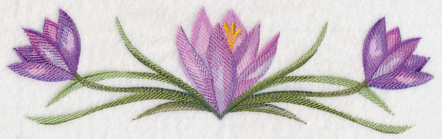 Crocus Border in Watercolor - Image 5