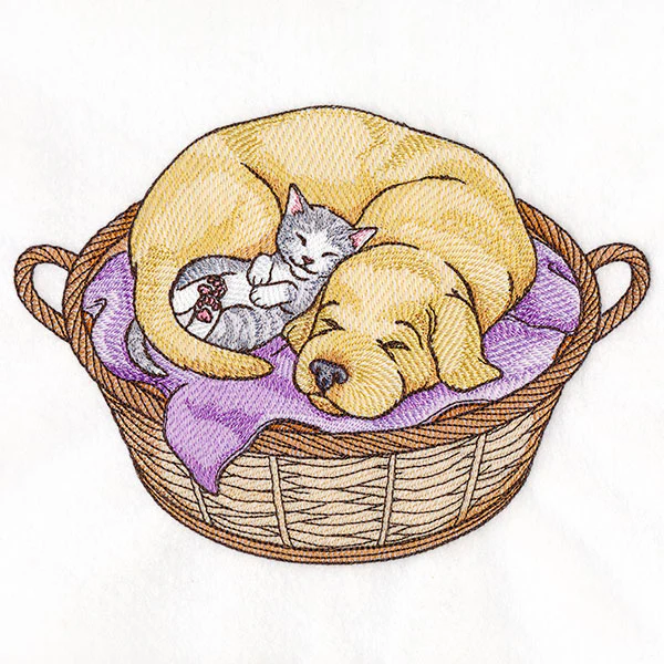 Cuddling Friends Cat and Dog - Image 2