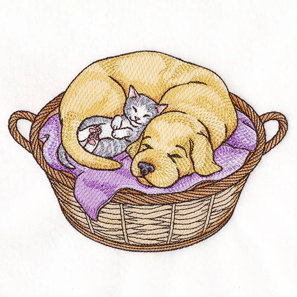 Cuddling Friends Cat and Dog - Image 3