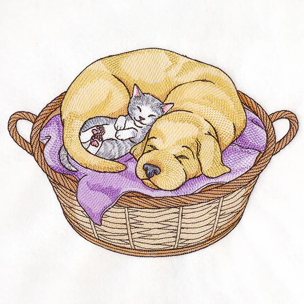Cuddling Friends Cat and Dog - Image 4